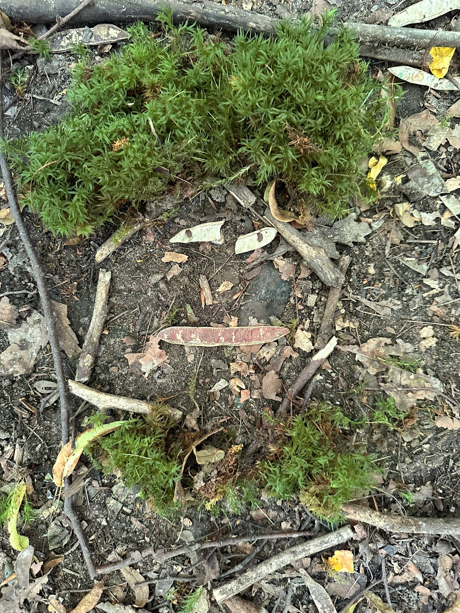 PHOTO 2024 06 26 10 14 34